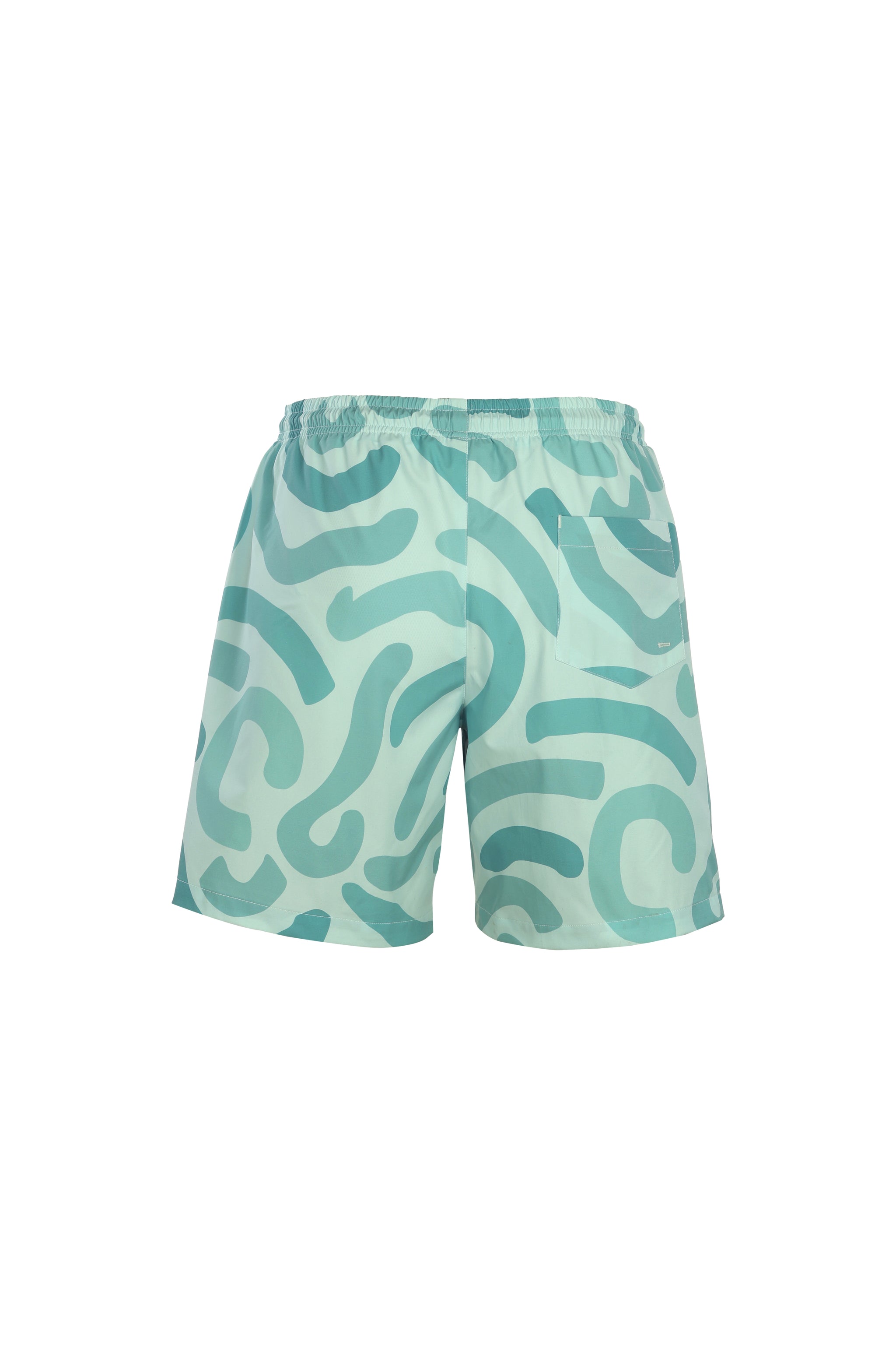 Swim Shorts Mint Green Champion Shorts Swim Shorts – Namara